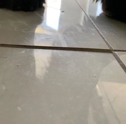 Leveling & Lippage Removal